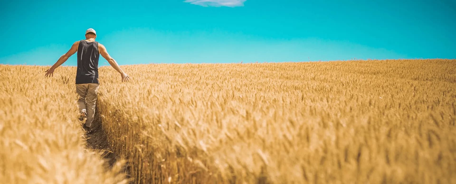 Top 5 AgriTech Trends to Follow in 2025