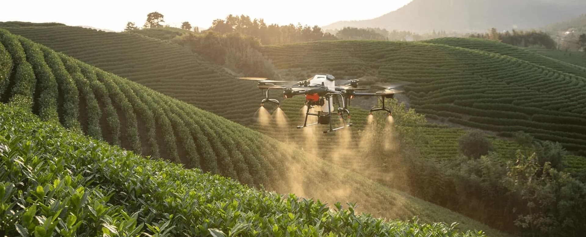 drone and satellite imagery