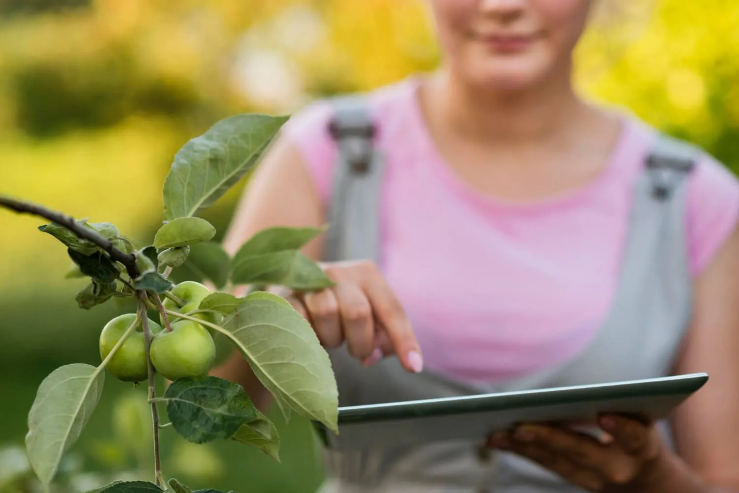 E-commerce Platforms for Direct Farm-to-Consumer Sales