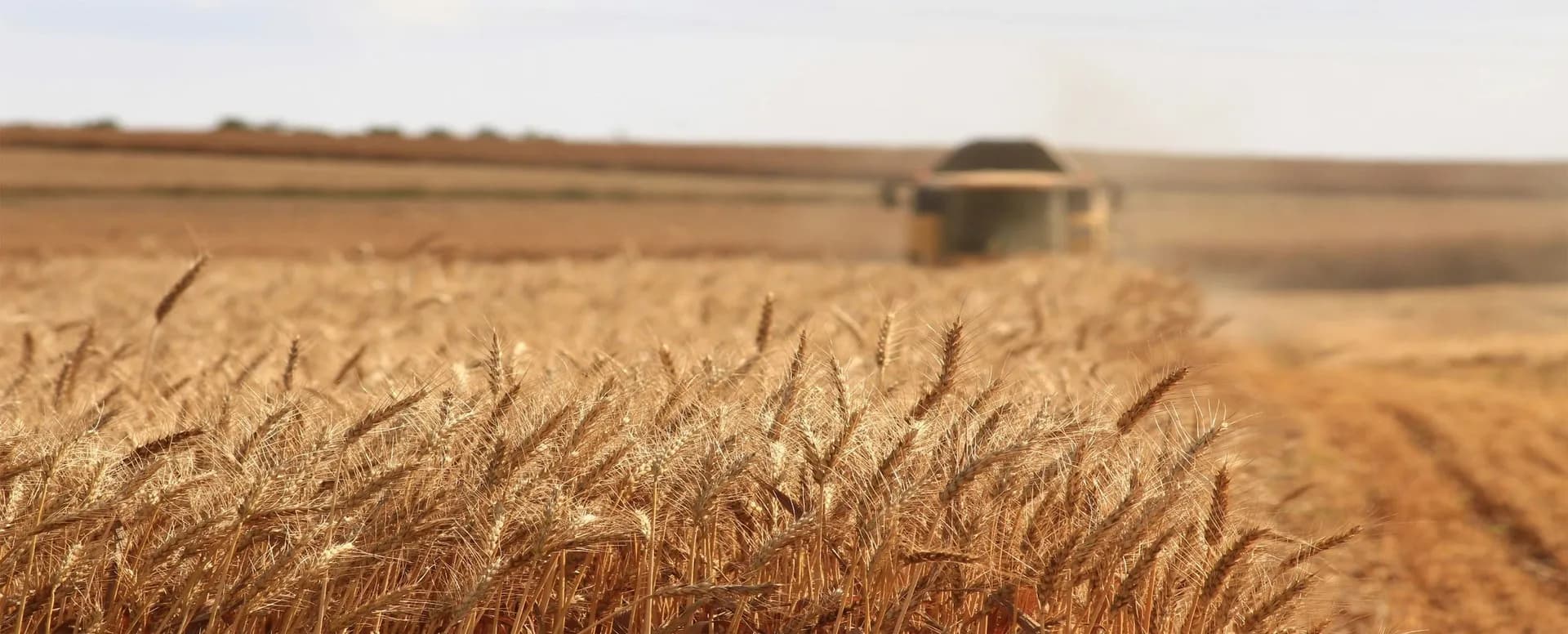 farm automation