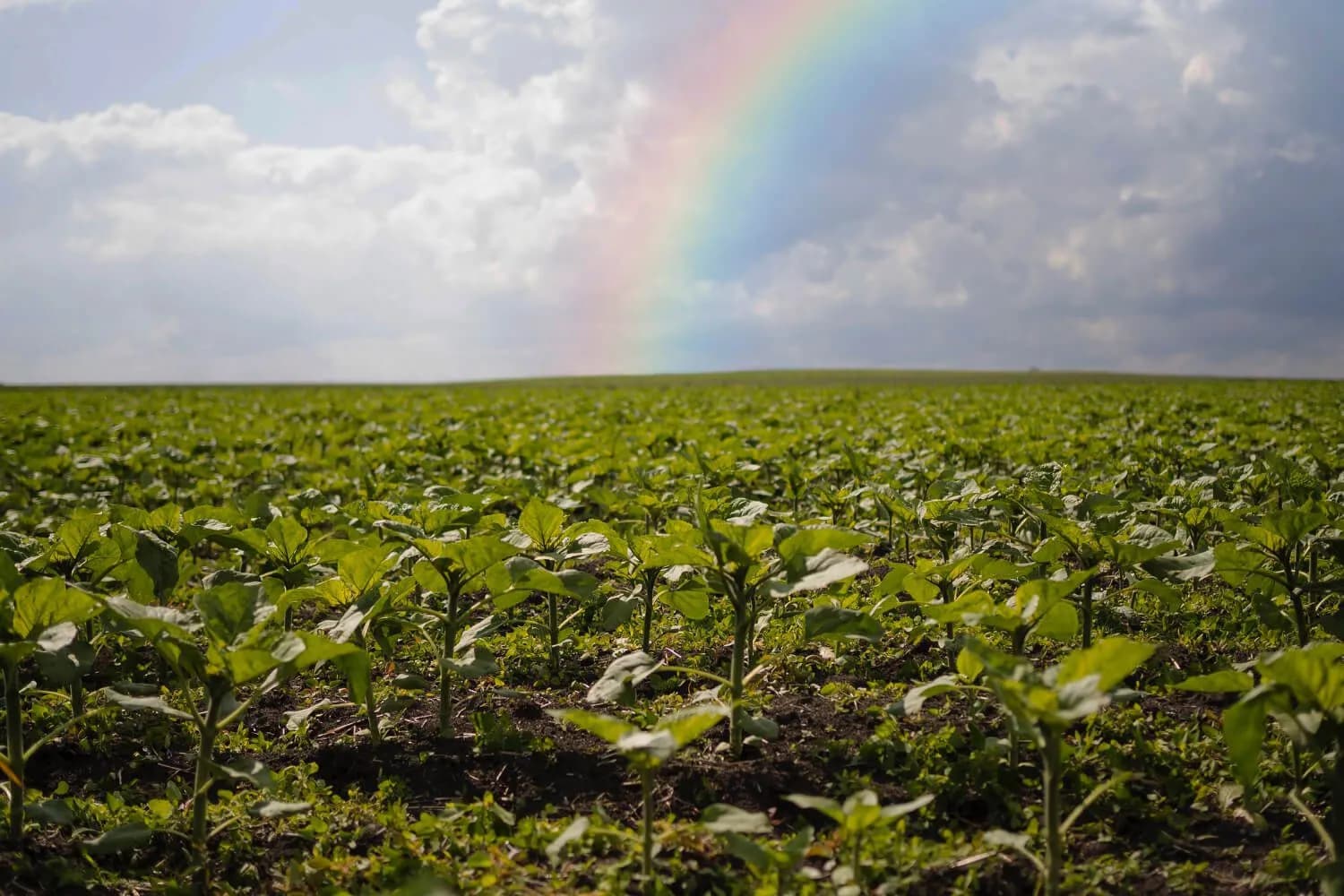 weather tracking in agriculture