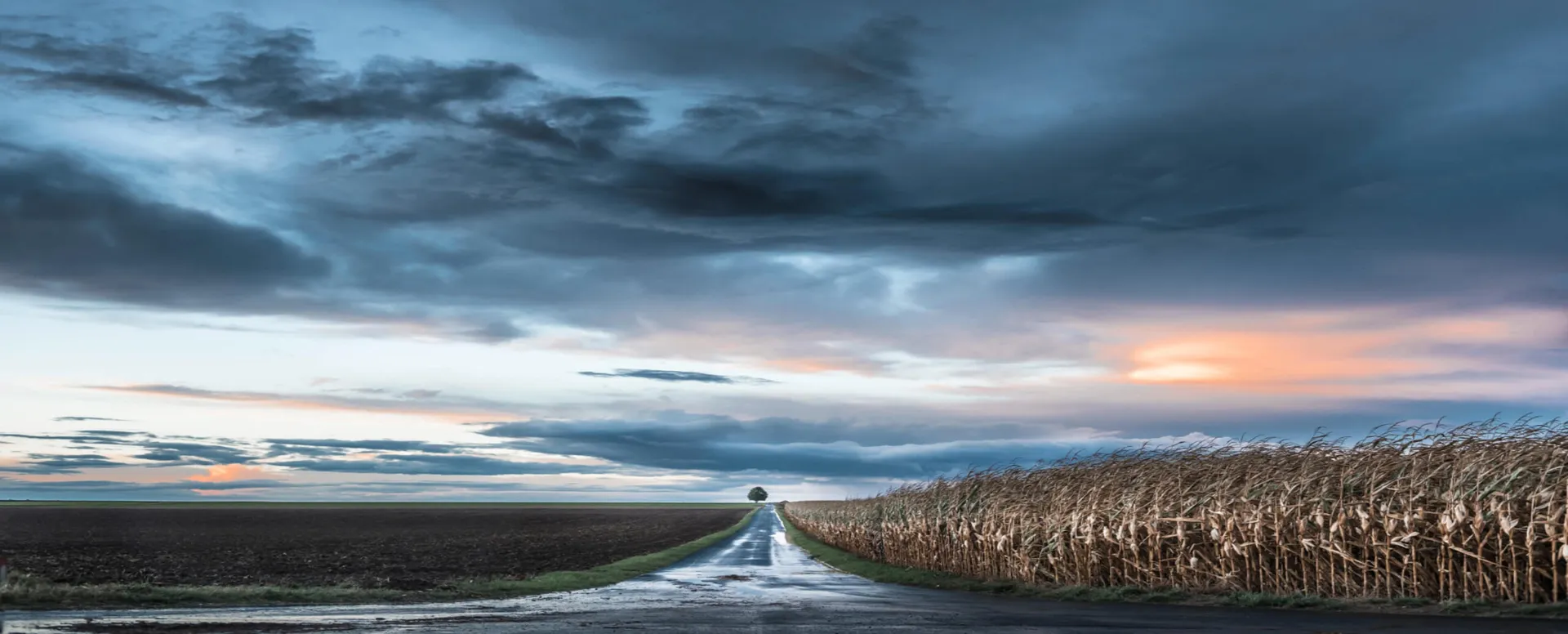 weather forecasting in agriculture