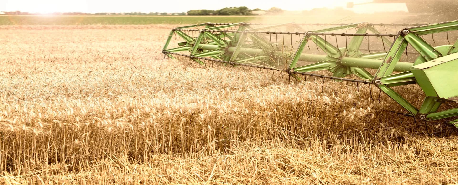 climate- resilient crops