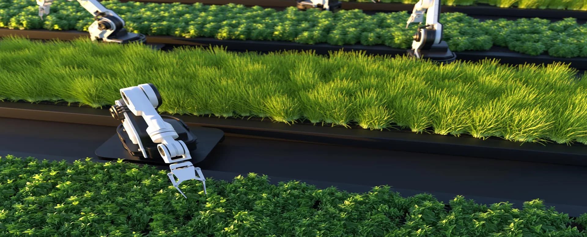 agricultural runoff, qaltivate