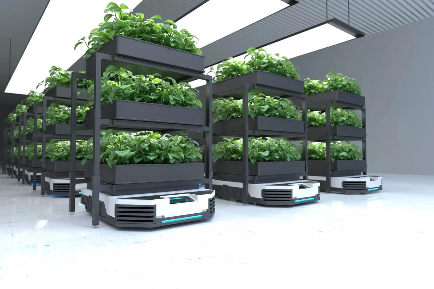 Traceability in agriculture: challenges, technologies and benefits