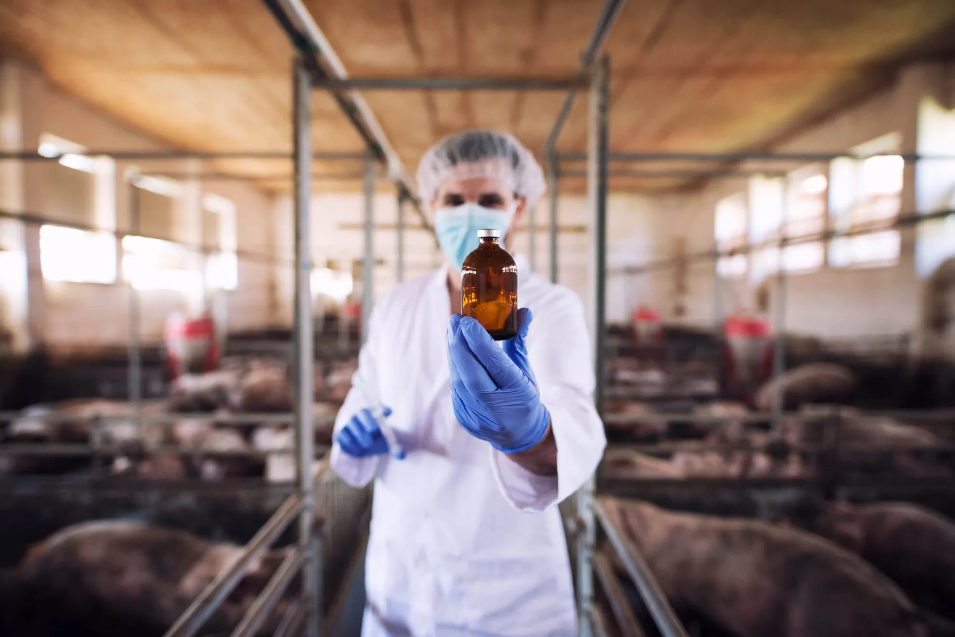 bird flu symptoms
