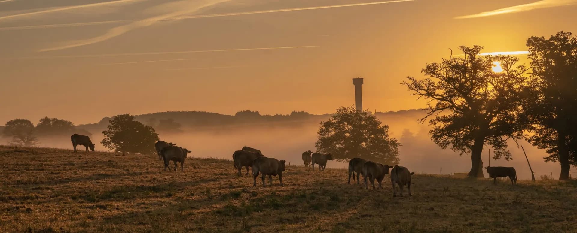pasture management