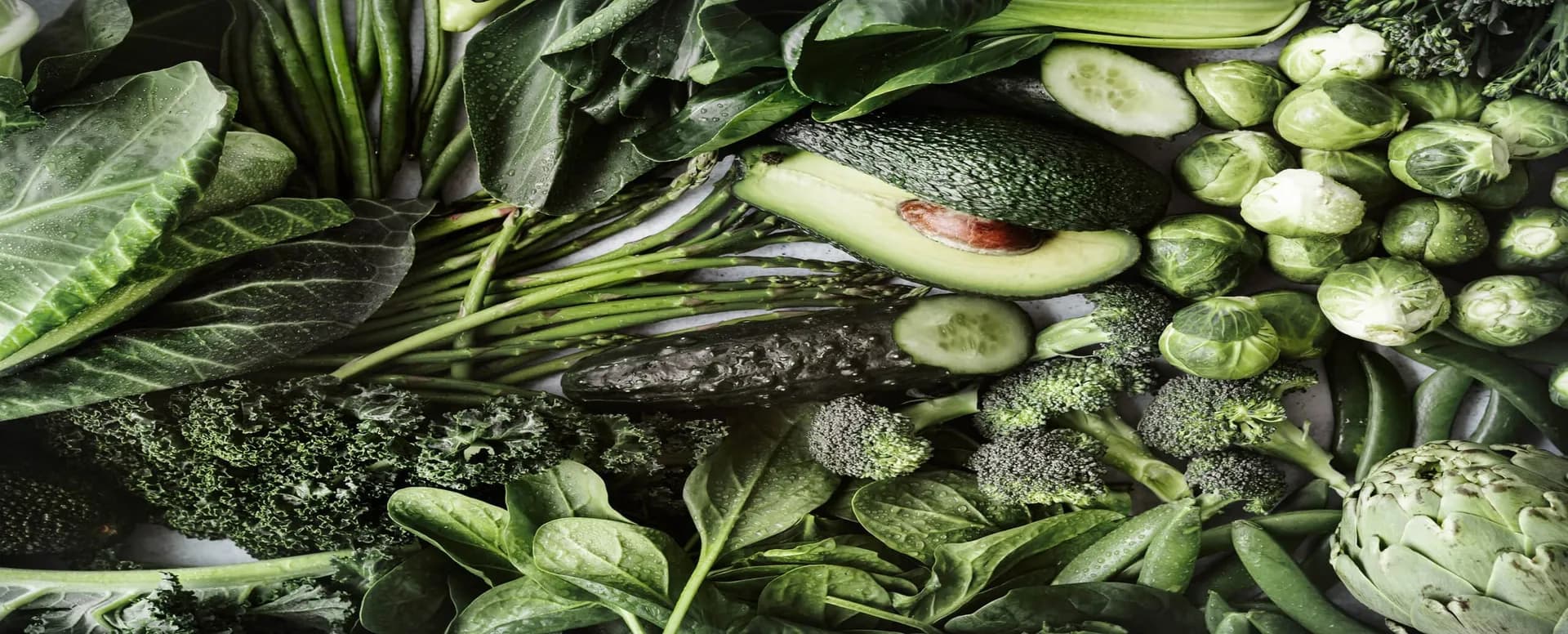 plant-based foods