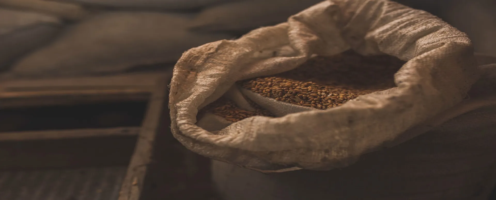 grain storage solutions