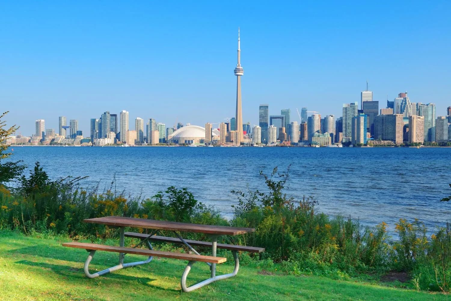 software development company in toronto