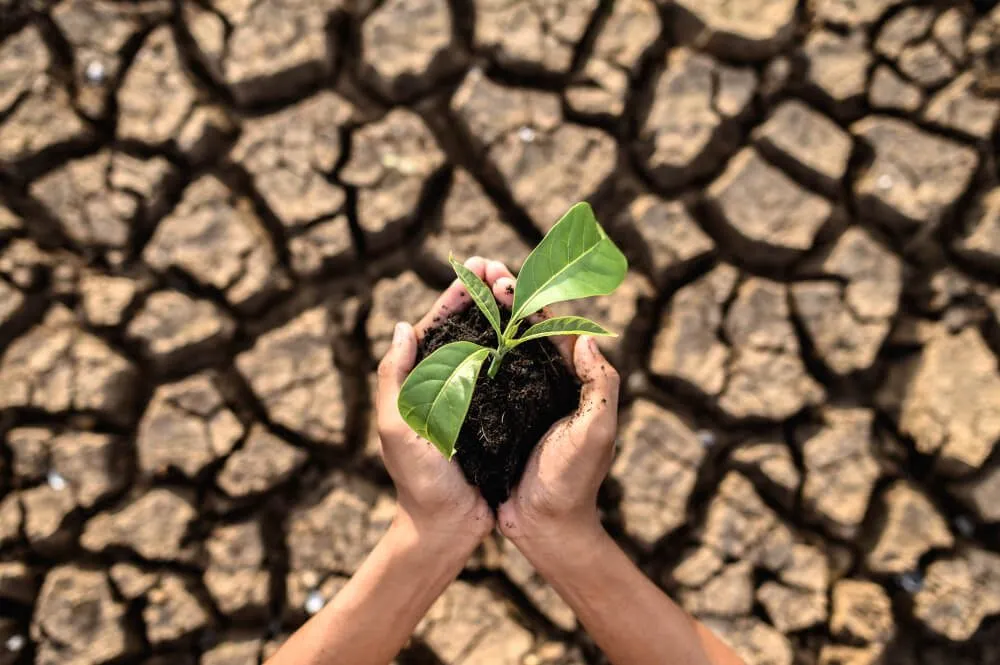 agtech industry trends in 2026