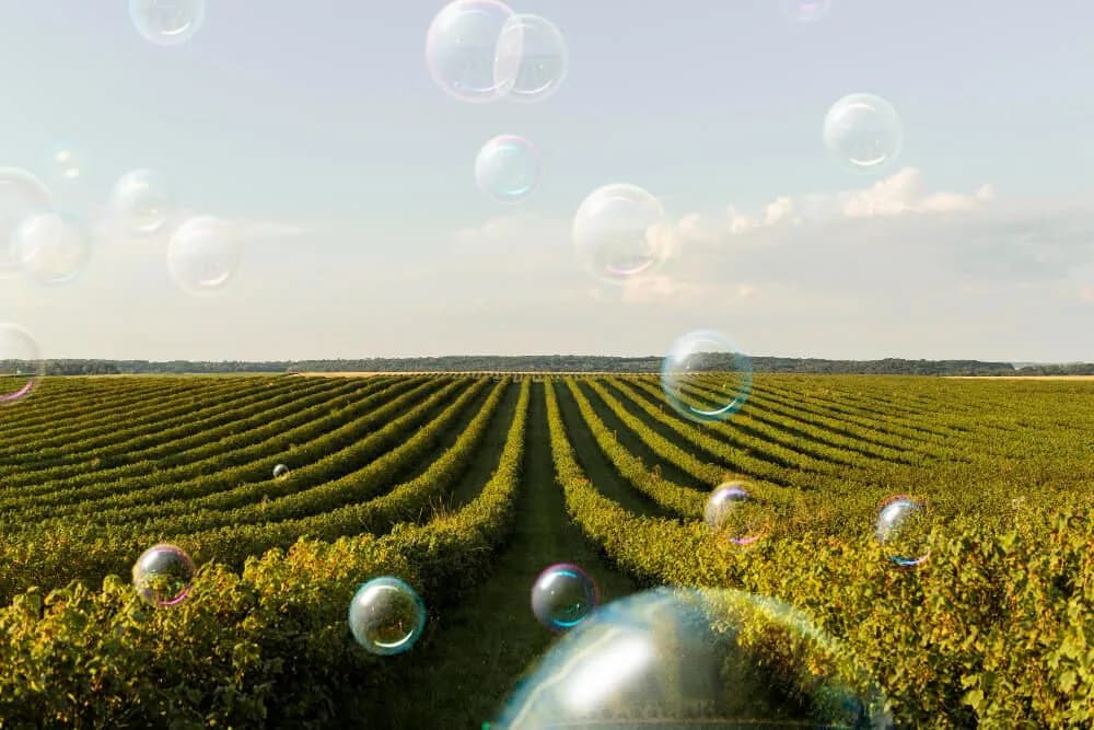 carbon farming 2026