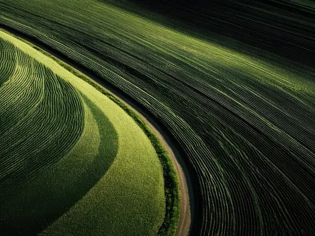 offline-capable mobile apps for agriculture