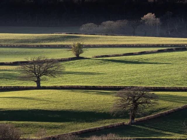 Farm App Development Budget