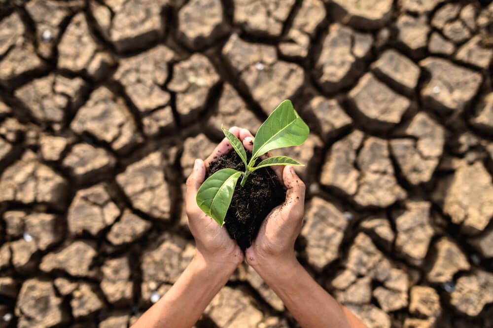 agtech industry trends in 2026