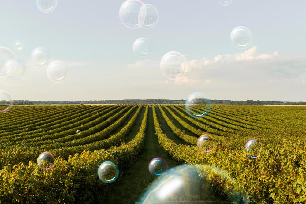 carbon farming 2026