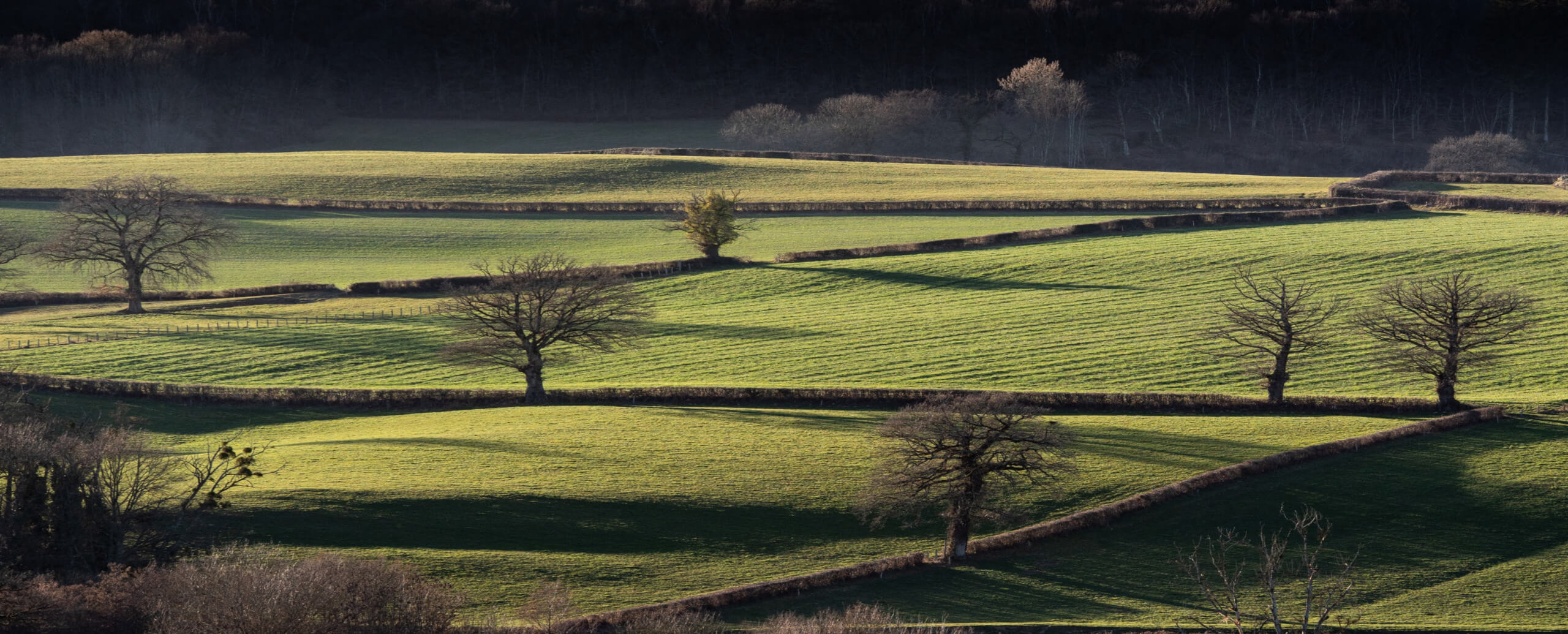Farm App Development Budget